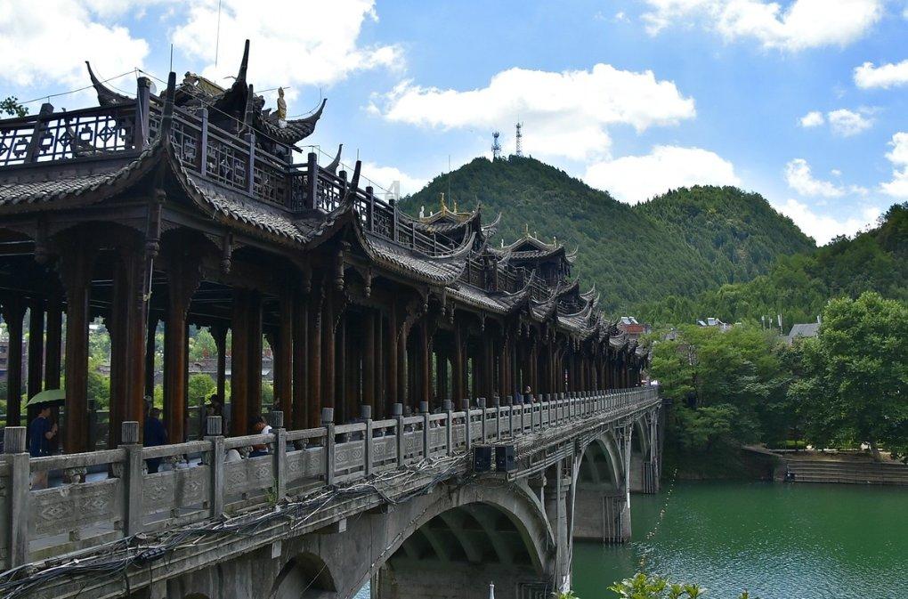 除虫大师